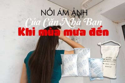 Chống Ẩm Mốc Trong Mùa Mưa: Giải Pháp Hiệu Quả Với Gói Hút Ẩm